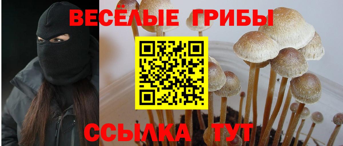 Галлюциногенные грибы GOLDEN TEACHER Советская Гавань