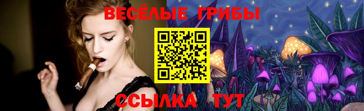 Советская Гавань  Галлюциногенные грибы MAGIC MUSHROOMS  Вход с VPN 